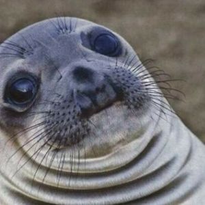 Meet your Posher, Ethan